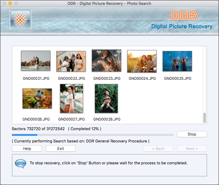 Digital Photo Recovery